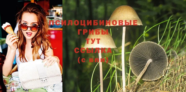 соль ск Нягань