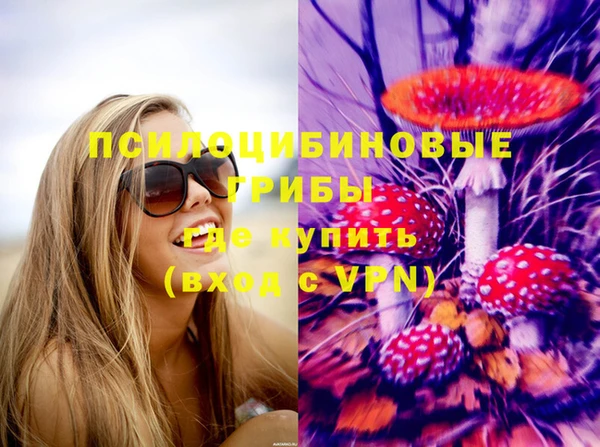 соль ск Нягань