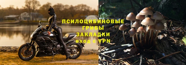 соль ск Нягань