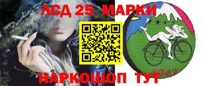 эйфоретик Берёзовский