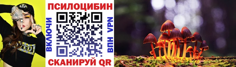 Псилоцибиновые грибы MAGIC MUSHROOMS  цены наркотик  Москва 