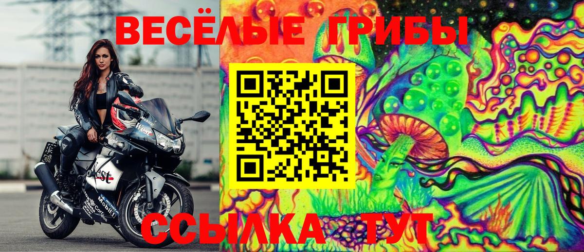 купить наркоту  Галлюциногенные грибы Psilocybe  Вход с VPN  Псилоцибиновые грибы прущие грибы  Москва 