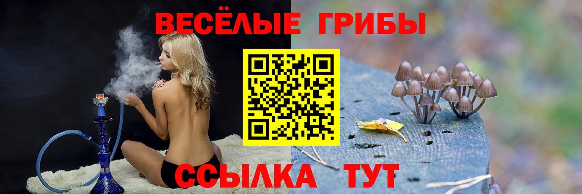 Галлюциногенные грибы Psilocybine cubensis Москва