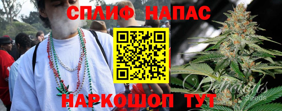 Канабис сатива  Москва  Бошки Шишки White Widow 